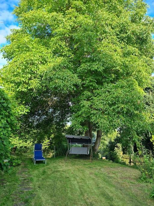 Ferienhaus Hildegard & Horst - Urlaub Im Herzen Des Fichtelgebirge Hohenberg an der Eger Zewnętrze zdjęcie
